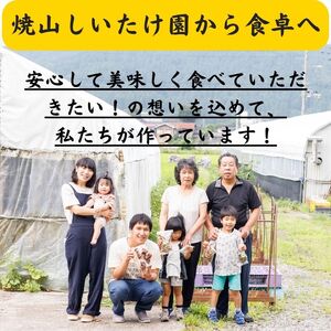 【令和7年産先行予約】生きくらげ 500g 肉厚ぷりっぷり♪  焼山しいたけ園《2025年6月～順次発送》新潟県 糸魚川市 キクラゲ 木耳 きのこ 生きくらげ