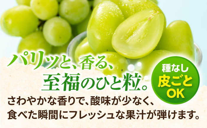 【2026年8月中旬以降発送開始】 シャインマスカット 3～4房 約2kg/マスカット シャイン ぶどう 葡萄/大村市/おおむら夢ファームシュシュ [ACAA481]