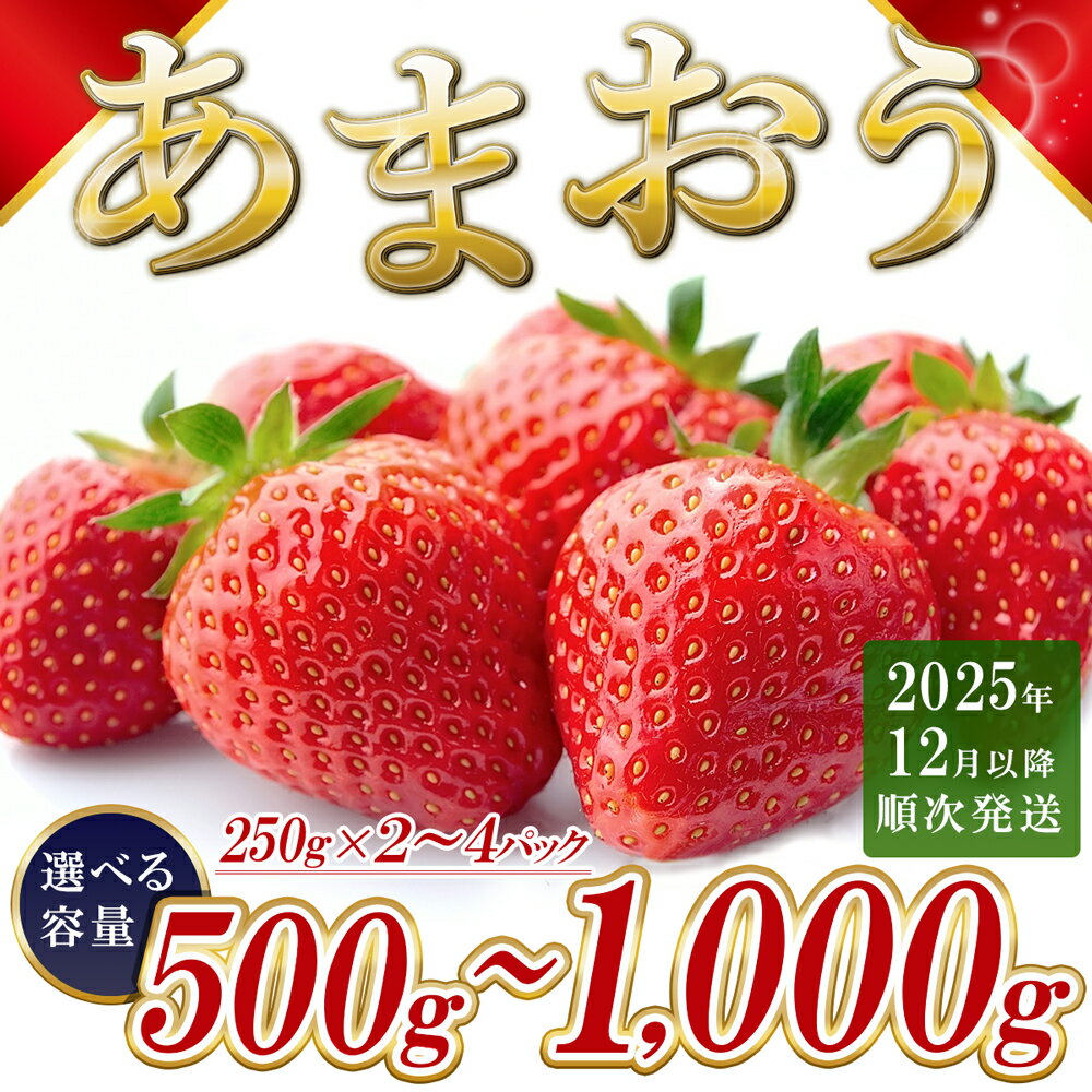 【ふるさと納税】福岡県産 あまおう ＜選べる容量＞ 約500g前後（約250g×2）約1000g前後（約250g×4）12月以降発送 3KC4