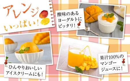 (先行受付)【2026年発送】アップルマンゴー 南城市 約1kg (2～3玉)