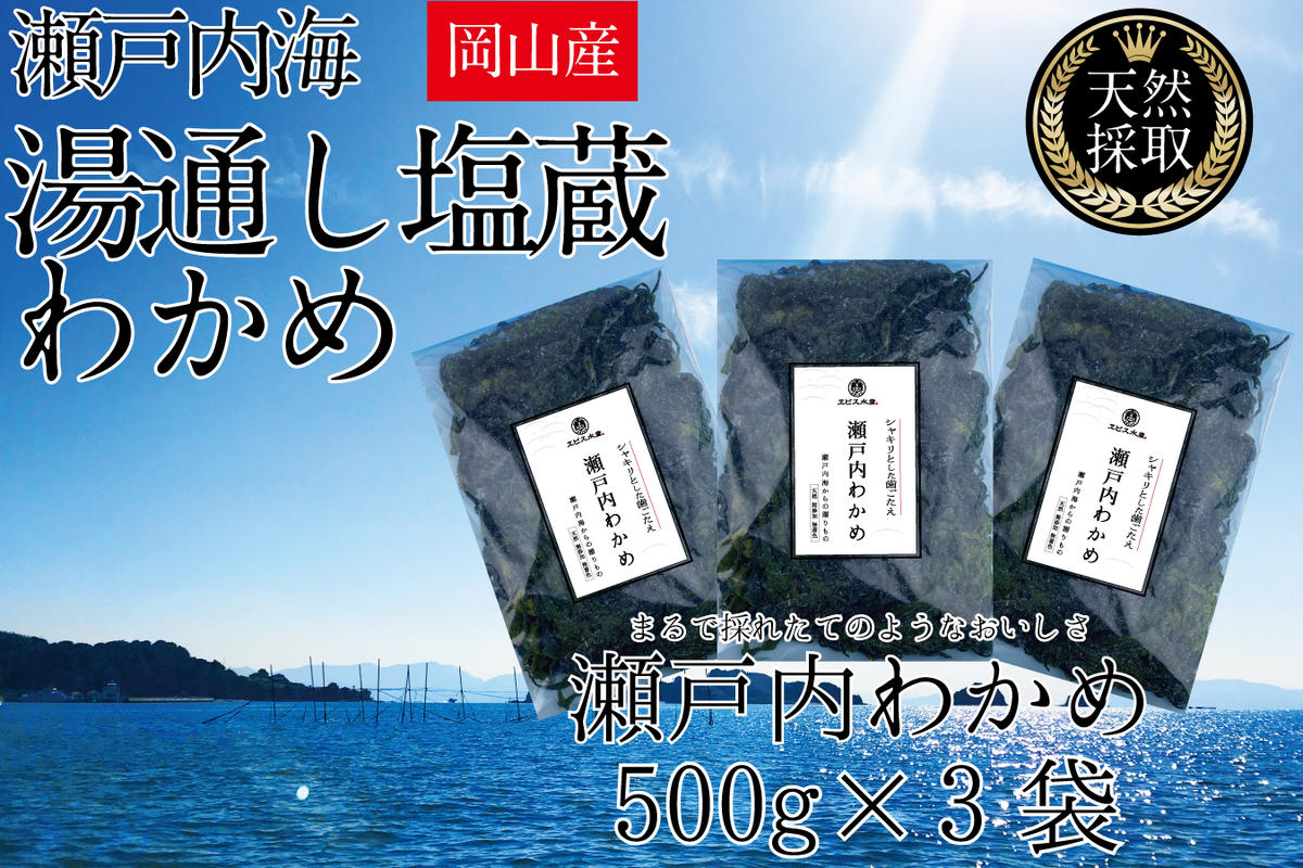 湯通し塩蔵 瀬戸内 わかめ 500g×3袋【岡山 瀬戸内海 天然 塩蔵】