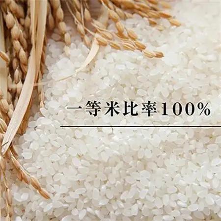 高津川の恵み 特別栽培米ヘルシー元氣米2kg×2袋(4kg)(令和7年産)【1209634】