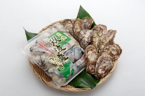 むき身＆殻付 牡蠣 Aセット｜朝どれ 生牡蠣 生かき 生がき 生カキ 生ガキ 広島県産 宮島 瀬戸 [1745]