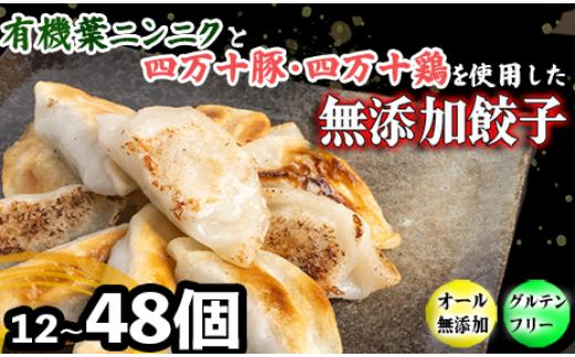 有機 黒 ニンニク と 四万十 豚 で作った 最高級 餃子 （ 6個入り x 8パック ）ぎょうざ ギョウザ にんにく 高知 野菜