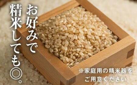 先行予約 魚沼 コシヒカリ玄米 30kg | 5キロ×6回 毎月 定期便 新潟県 令和8年 玄米