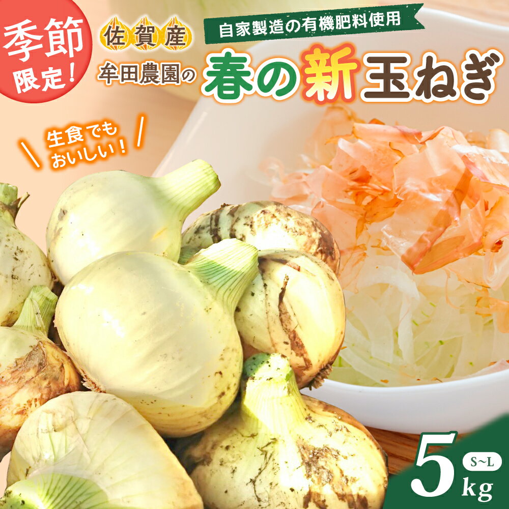 【ふるさと納税】＜先行受付＞牟田農園の春の新玉ねぎ 5kg たまねぎ タマネギ 野菜 新玉ねぎ 玉ねぎ 5kg 玉ねぎ 佐賀県 太良町 K3