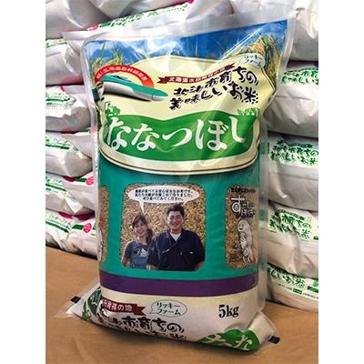 ふるさと納税 北斗市 北海道産 特Aランク ななつぼし5kg【玄米】 | 