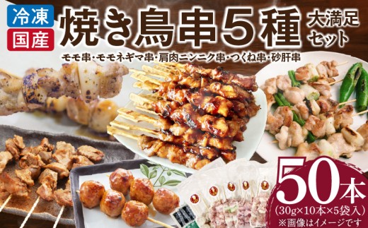 【大満足セット】冷凍国産鶏 焼き鳥串 人気の5種 合計50本セット 小分け パック［129T07］