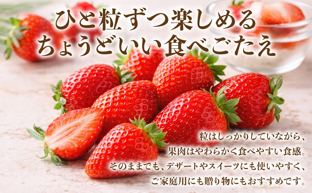 【先行予約】 いちご 約2kg（約250g×8パック） イチゴ 苺 果物 くだもの フルーツ 旬 ジャム スムージー スイーツ 熊本県 八代市 【2027年1月上旬より順次発送】