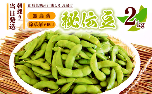 【無農薬・除草剤不使用】 枝豆 「秘伝豆」 2kg 山形県産 【クール便】 【2025年9月下旬から10月中旬頃配送予定】※ 配送不可 沖縄・離島　012-B-MM021