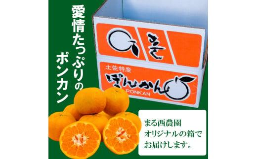 訳あり 家庭用 ポンカン 5kg 2026年1月より発送 早期予約 産地直送 浦ノ内産 ぽんかん みかん 蜜柑 柑橘 訳あり品 高知県 須崎市 MN0031-x