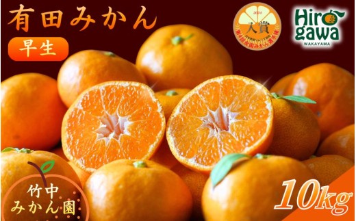 早生 有田みかん10kg (大玉）2L～ ※11月～1月順次発送予定 【tkn004-wr-l-10-12】