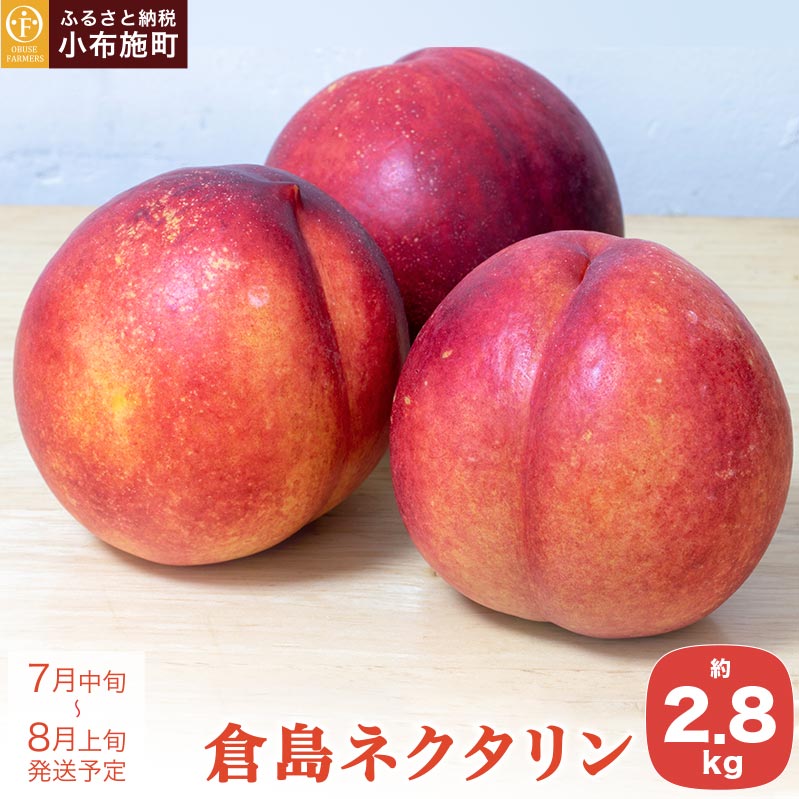 【ふるさと納税】 倉島ネクタリン 約2.8kg ［おぶせファーマーズ］ 先行予約 ネクタリン 果物 フルーツ 桃 もも 冷蔵便 クール便 長野県産 信州産 令和7年産【2025年7月中旬〜8月上旬発送】