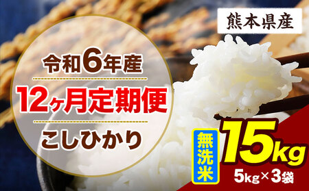 【12ヶ月定期便】令和6年産 定期便 こしひかり 15kg 無洗米 阿蘇 うぶやま 米 定期便 熊本県産 ふるさと納税 精米 ひの 米 こめ ふるさとのうぜい コシヒカリ コメ お米 おこめ