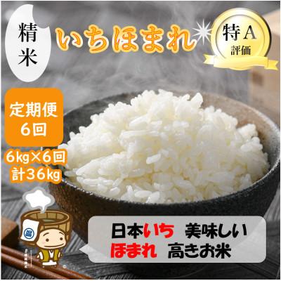 ふるさと納税 あわら市 【毎月定期便】いちほまれ 精米 2kg×3袋(計6kg)全6回