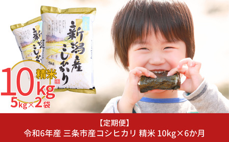 [定期便10kg×6か月] 令和6年産 新潟県三条市産コシヒカリ 計60kg 新米 こしひかり 6か月連続でお届け [株式会社白熊]【076S002】