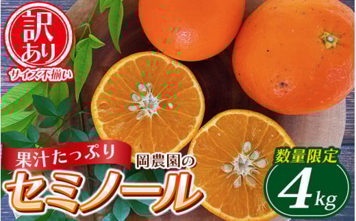 訳あり品 サイズ混合 ご家庭用 岡農園のセミノール4kg【2026年3月下旬から4月下旬までに順次発送】 / セミノール わけあり 訳あり 家庭用 みかん 蜜柑 数量限定 ミカン