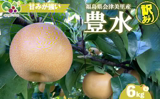 【先行受付】《訳あり》会津の美味しい梨 豊水 約6kg（10玉～12玉）◇｜ 期間限定 家庭用 梨 なし ナシ 果物 フルーツ 甘い ジューシー 果実 くだもの 国産 果実 会津美里町産 ※2025年9月中旬～9月下旬頃に順次発送予定