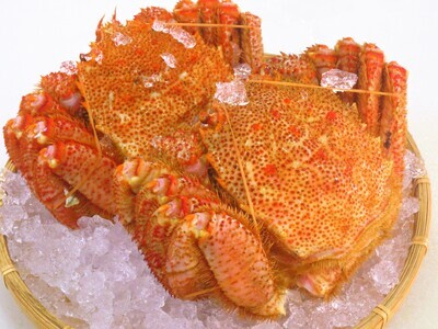 【数量限定】＜北海道産＞浜茹で毛がに【約500g×2尾】（網走加工） ABC016