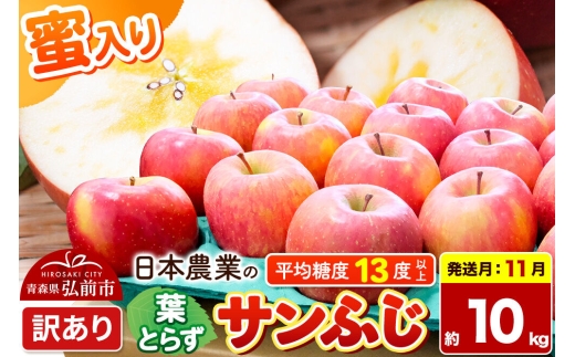【26年11月発送】りんご 葉とらずサンふじ 【訳あり】 約10kg 蜜入り 平均糖度13度以上 青森県産 [りんご 林檎 アップル 産地直送 葉とらず サンふじ 訳あり 自宅用 家庭用 果物 フルーツ くだもの おいしい 美味 甘い 青森県 弘前市 日本農業]