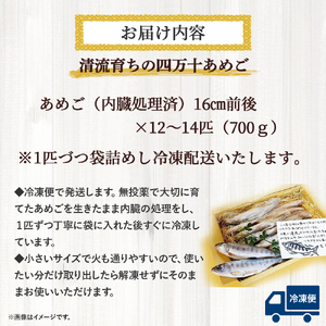 【四万十の幸 あめご】700g (16cm前後×12～14匹) 使いやすい小ぶりサイズ Eay-02 あめご 小魚 川魚