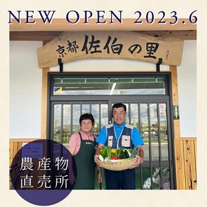 野菜 定期便 直送 12回 朝採れ 7～10品目 京都丹波 亀岡 佐伯の里 訳あり生活応援 家計応援 ※北海道・沖縄・離島への配送不可