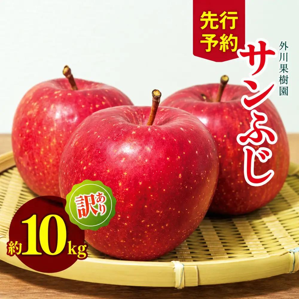 【2026年先行予約】訳あり サンふじ 約10kg ｜ 外川果樹園 