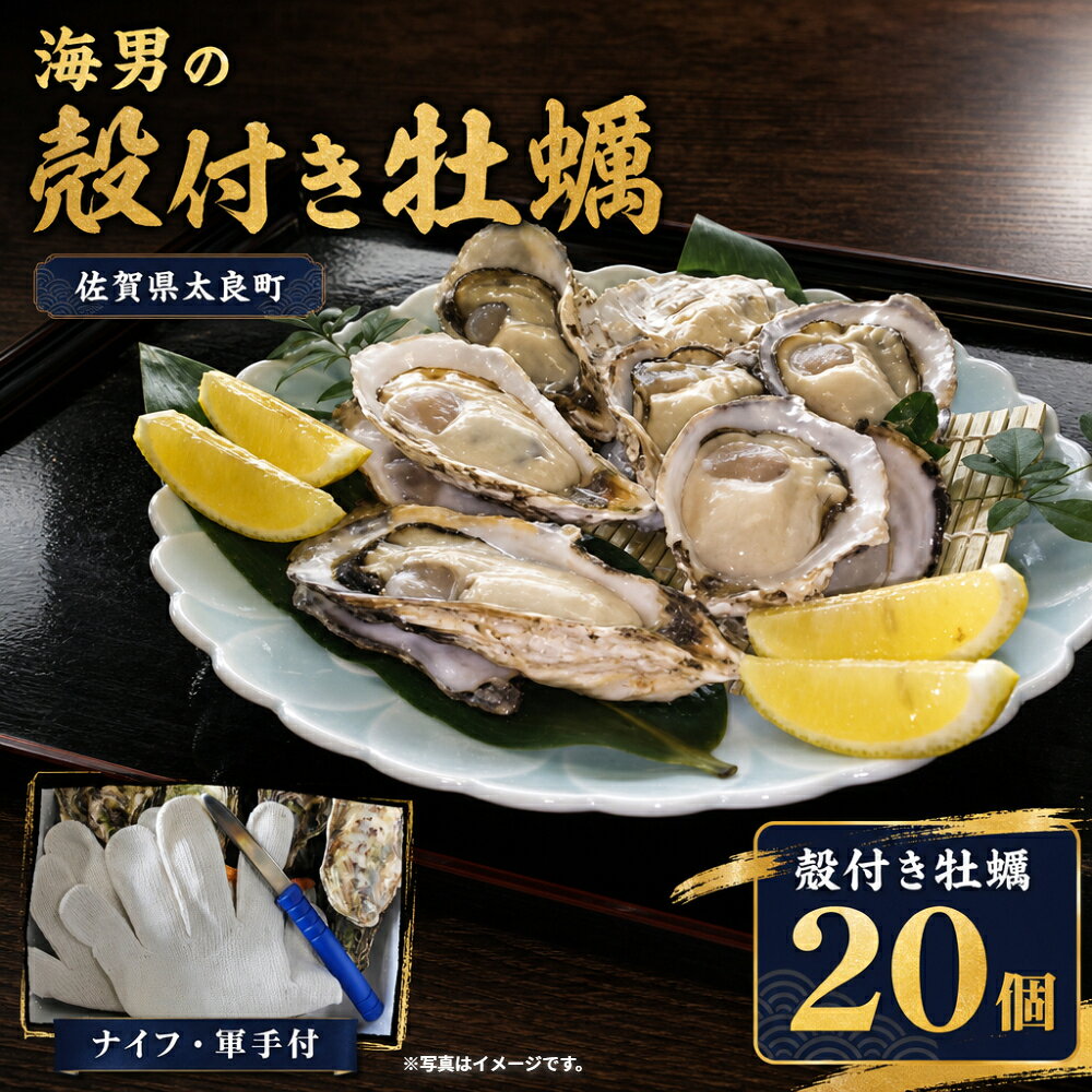 【ふるさと納税】海男の殻付き牡蠣　20個