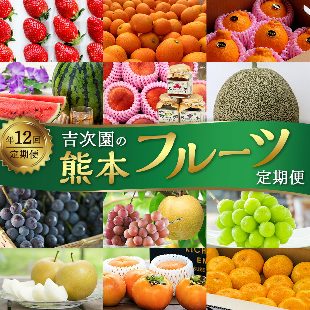 【ふるさと納税】【12カ月定期便】熊本フルーツ定期便12カ月 165000円 16万5000円 12回 12ヵ月 定期 フルーツ 果実 くだもの 季節 旬 いちご フルーツキンカン 不知火 メロン すいか 桃 巨峰 ピオーネ ロザリオビアンコ 新高梨 太秋柿 みかん 頒布会