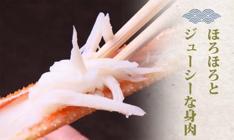 【蒸し】タグ付き松葉ガニ 大1枚 (800~940g 前後) 先行予約受付 ズワイガニ かに 11月上旬~3月上旬発送 TM6 0716