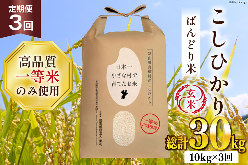 米 新米 令和8年 ばんどり米 コシヒカリ 玄米 10kg 3回 定期便 総計30kg  [農事組合法人東和 富山県 舟橋村 57050229] 一等米 コメ お米 ごはん ご飯 こしひかり 10キロ ブランド米 美味しい 富山 農家 ふるさと納税