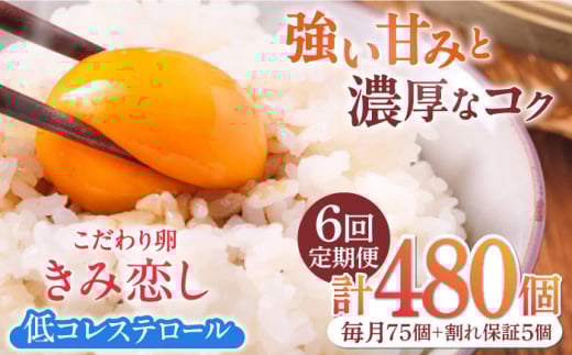 【6回定期便】きみ恋し 80個（75個+割れ保証5個）×6ヶ月 総計480個 広川町/伊藤養鶏場 [AFAJ013]