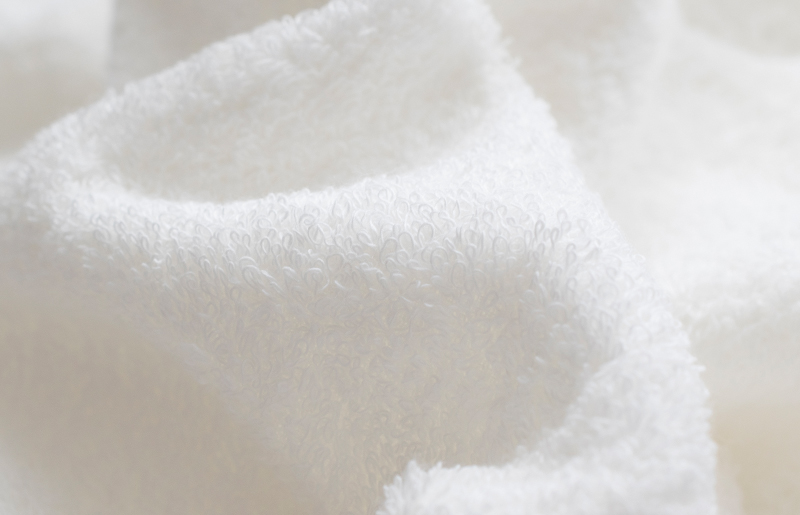 【スピード発送】ファミーユ ミニバスタオル 10枚【フェイスタオル 以上 バスタオル 未満 泉州タオル 吸水 普段使い シンプル 日用品 たおる】 G2113