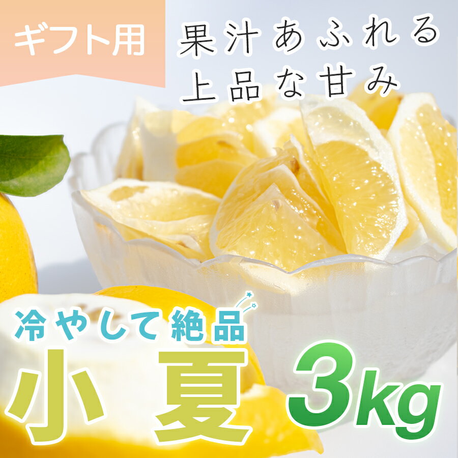 【ふるさと納税】小夏 3kg 贈答 ギフト用 日向夏 ニューサマーオレンジ 柑橘 みかん ノーワックス こなつ くだもの 果物 産直 旬の果物 お取り寄せ 産地直送 フルーツ 爽やか スッキリ 甘い 高知県 大月町産 コーラルフルーツ農場