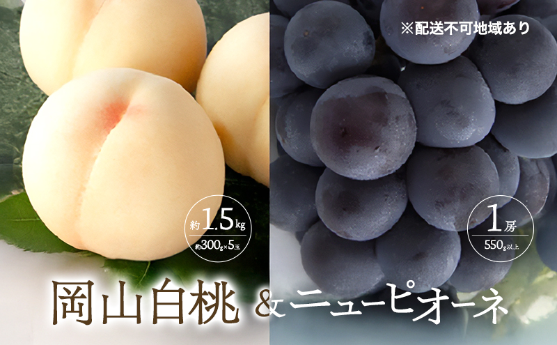 桃 ぶどう 2027年 先行予約 清水 白桃 5玉 約1.5kg 1玉約300g ニュー ピオーネ 1房 550g以上もも 葡萄 詰合せ 岡山 国産 フルーツ 果物 ギフト 桃茂実苑