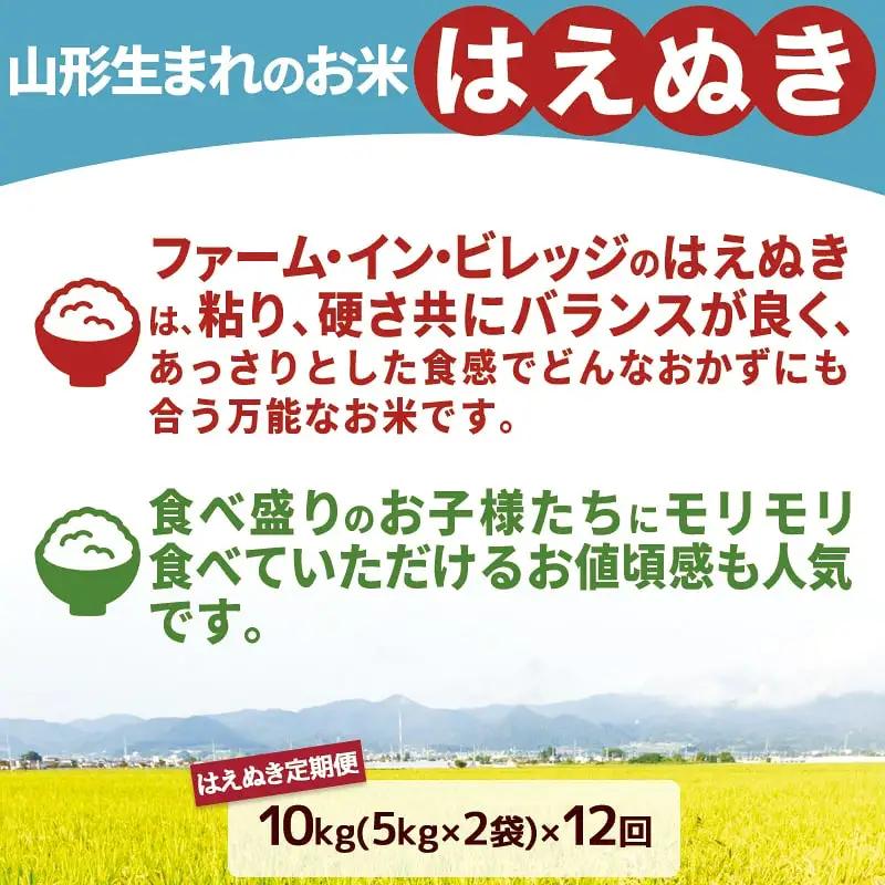 令和8年産 はえぬき 定期便 ( 5kg × 2袋 ) 12回 米 精米