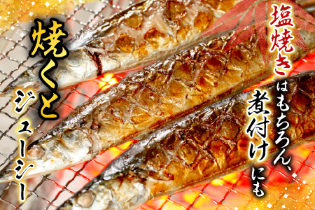 冷凍生さんま5尾×2P、ほたて貝柱200g×1P A-70034