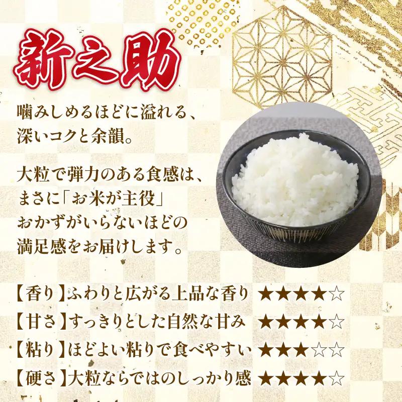先行予約 令和8年産 新之助 定期便 5kg 6回 30kg しんのすけ 白米 米 国産 環境こだわり おこめ お米 ご飯 ごはん オニギリ お弁当 kome 6か月 送料無料 数量限定 農家直送 産