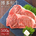 【ふるさと納税】博多和牛 サーロインステーキセット 250g×2枚 合計500g 和牛 牛肉 サーロイン ステーキ 冷凍 福岡県産 九州産 国産 送料無料