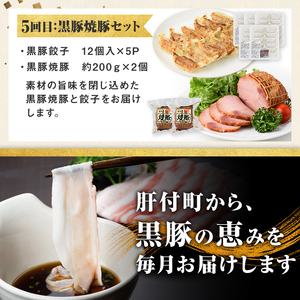 【D02006】＜定期便・全5回＞かごしま黒豚まんぞく定期便A (月1回×5ヶ月) 鹿児島 九州産 国産 肉 豚肉 黒豚 焼豚 肩ロース ロース モモ スライス 叉焼 餃子 ギョーザ ぎょうざ しゃぶ