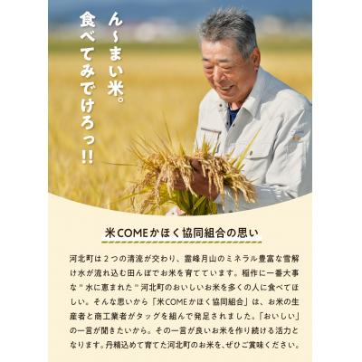ふるさと納税 河北町 【令和7年産米】2026年4月中旬発送 雪若丸 10kg 山形県産 【米COMEかほく】 |  | 01