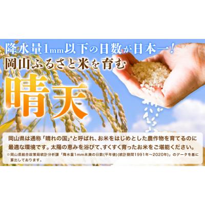 ふるさと納税 矢掛町 【6ヶ月定期便】晴れの国岡山の無洗米 5kg 岡山県産 矢掛町《申し込み翌月から発送》 |  | 01