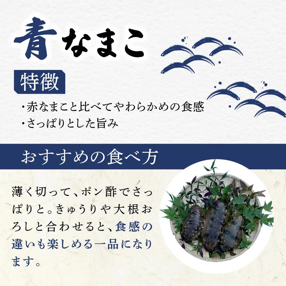 防府市産天然赤なまこ青なまこ食べ比べセット 凪翔政栄丸 山口県 防府市 A-H20 なまこ ナマコ 食べ比べ 活き 赤青セット 瀬戸内海 珍味 このわた おつまみ 刺身