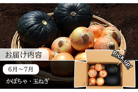 定期便 6回 常備野菜 セット 約5kg 詰め合わせ [吉岡青果 長崎県 雲仙市 item1299]