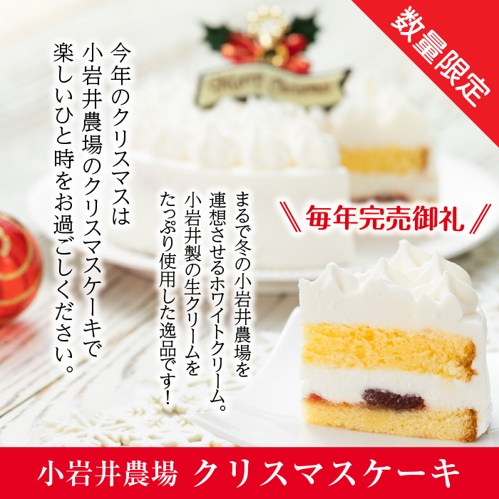 小岩井農場 【2024年12月23日発送】 クリスマスケーキ ホワイトクリーム ケーキ 5号サイズ 【オーナメント（柊）&チョコプレート付き】 ／ Xmas Christmas CHRISTMAS く