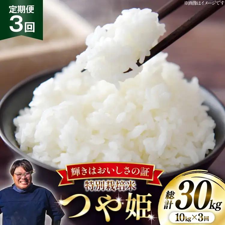 米 定期便 3回 令和8年産 特別栽培米 つや姫 10kg (5kg×2)