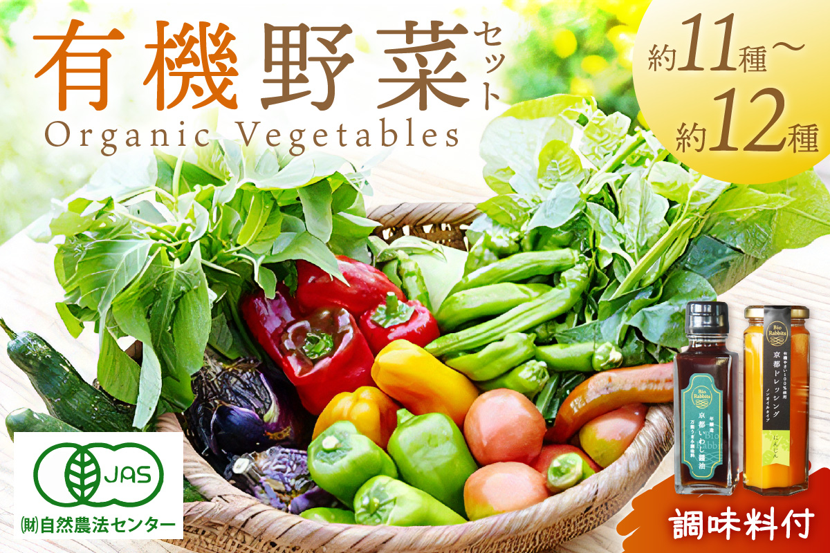 ＜てんとうむしばたけ＞オーガニック野菜&調味料セット　有機野菜11～12種(4人用)＆調味料2種