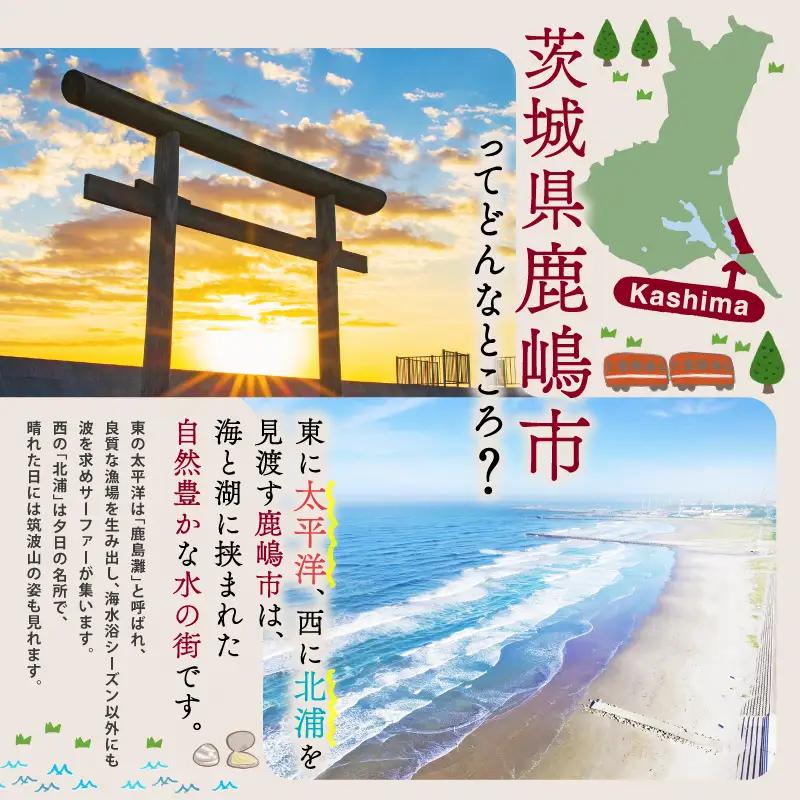 牡蠣 岩牡蠣 7㎏ 14～35個 海産物 天然岩牡蠣 産地直送 国産 茨城県 鹿嶋市