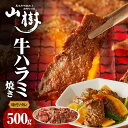 【ふるさと納税】山樹のアメリカ産牛ハラミ焼き（味付）500g