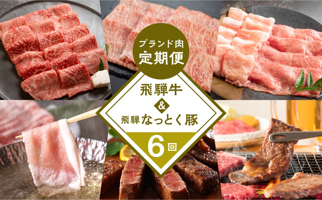 【定期便6回】 飛騨牛＆なっとく豚 ブランド肉 定期便 6回 牛肉 豚肉 (ステーキ / すき焼き / しゃぶしゃぶ / 焼き肉) カルビ イチボ お楽しみ 下呂温泉 おすすめ ブランド【tc2】